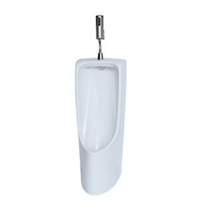 Bồn tiểu nam TOTO UT508T đặt sàn – ảnh 4