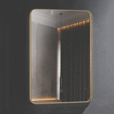 Gương khung inox Đình Quốc 99902