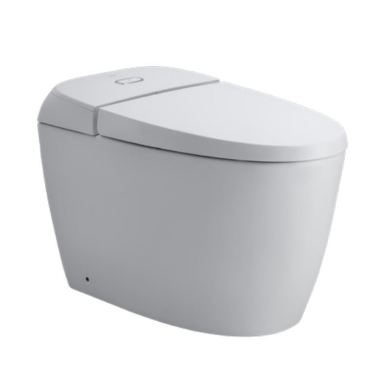 Bồn cầu 1 khối INAX AC-1010VN (AC1010VN) nắp đóng êm