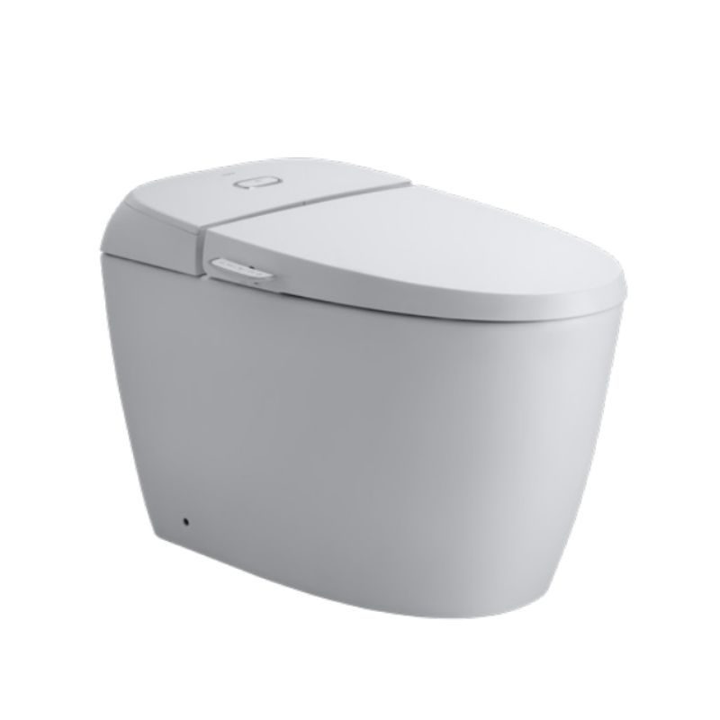 Bồn cầu 1 khối nắp rửa cơ INAX AC-1011VN (AC1011VN)