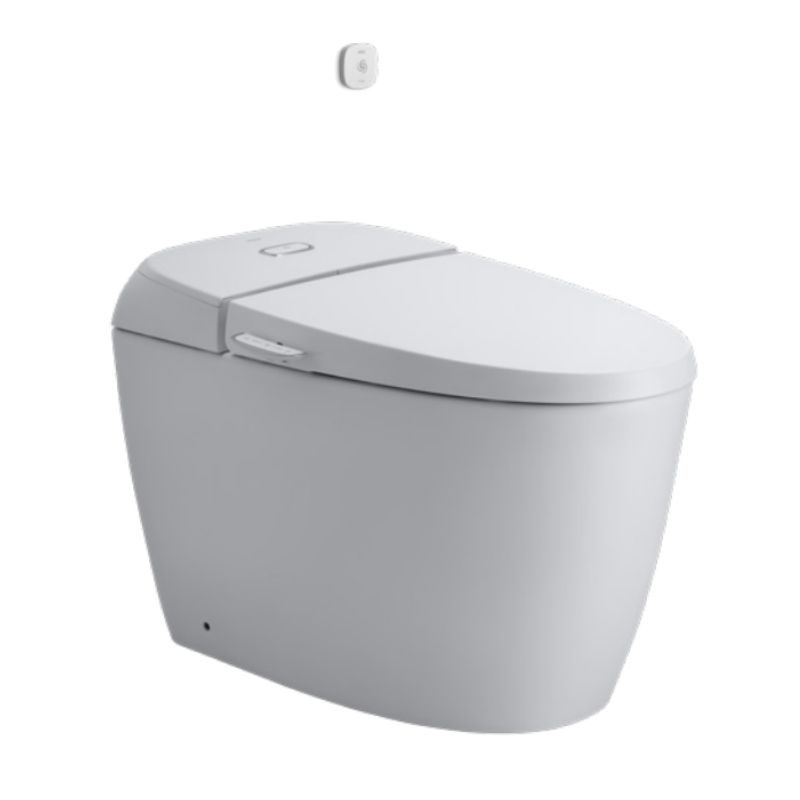 Bồn cầu 1 khối nắp rửa cơ INAX AC-1013VN (AC1013VN)
