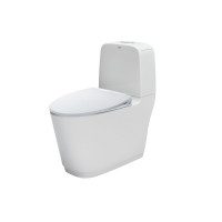 Hình ảnh thực tế Bồn cầu TOTO CS838DW26 2 khối nắp điện tử Washlet S1 TCF23661GAA