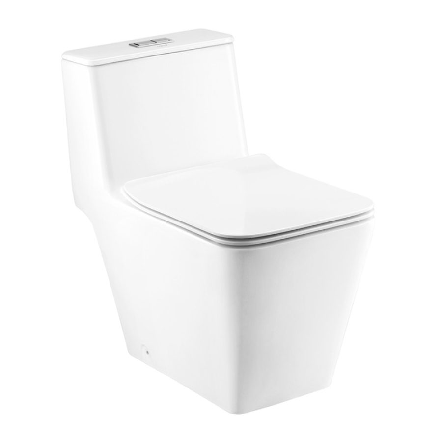 Bồn cầu 1 khối COTTO C10327 nắp êm dòng Simply Modish