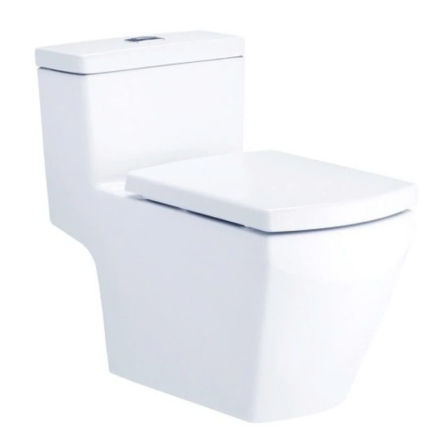 Bồn cầu 1 khối COTTO C107127 nắp êm dòng Grand Tetragon