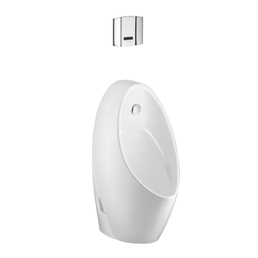 Bồn tiểu nam COTTO C30207BI treo tường Chloe