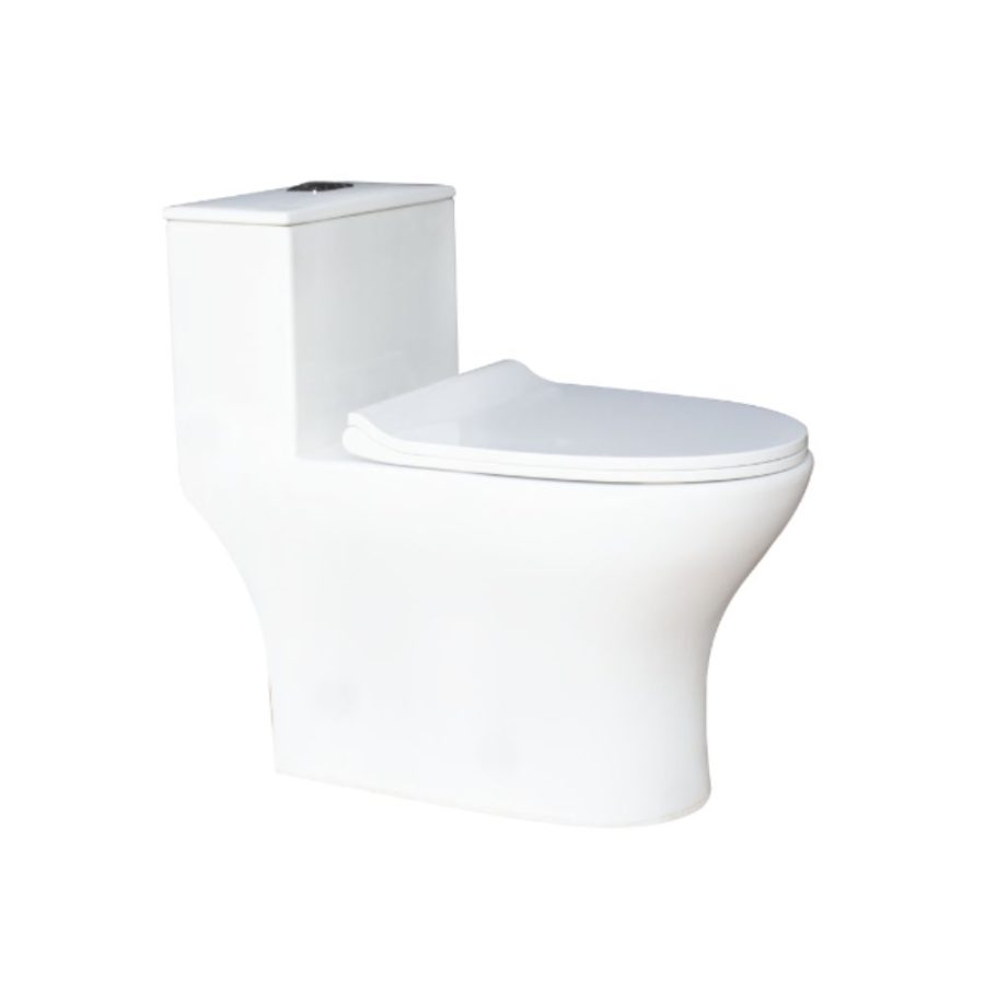 Bồn cầu 1 khối Everest Thiên Thanh CK79
