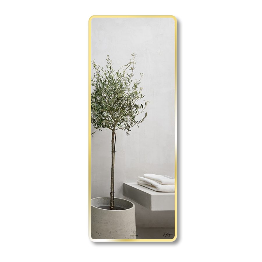 Gương soi toàn thân khung viền nhôm 60x160cm GLS