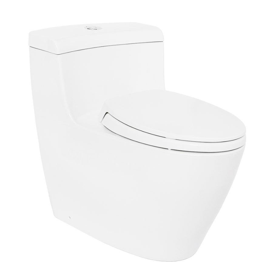 Bồn cầu 1 khối TOTO MS636DT2 nắp đóng êm TC393VS